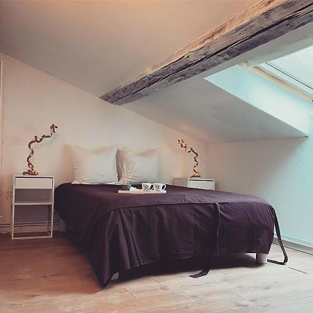 Superbe Duplex En Plein Coeur De Nancy نانسي المظهر الخارجي الصورة