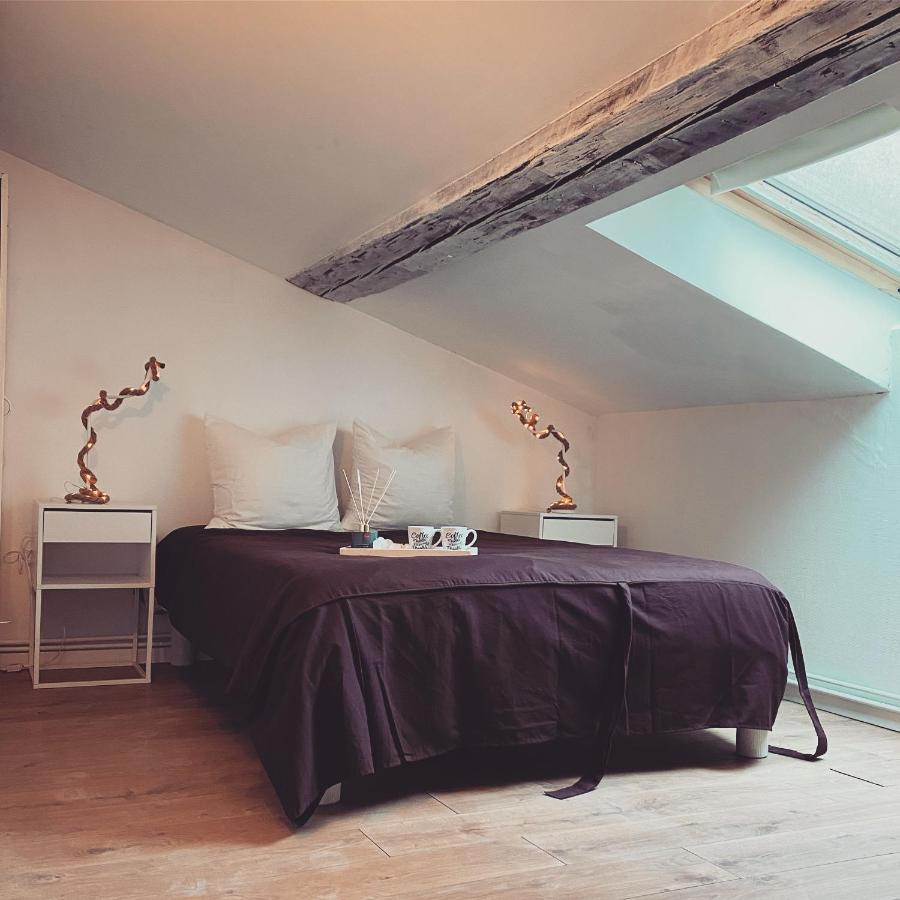Superbe Duplex En Plein Coeur De Nancy نانسي المظهر الخارجي الصورة